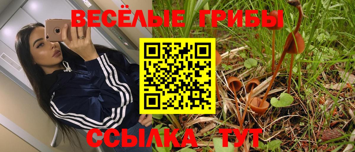 Ишимбай  Галлюциногенные грибы ЛСД  купить наркотик  Псилоцибиновые грибы Magic Shrooms  Вход с VPN 